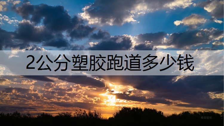 2公分塑胶跑道多少钱 2公分塑胶跑道多少钱